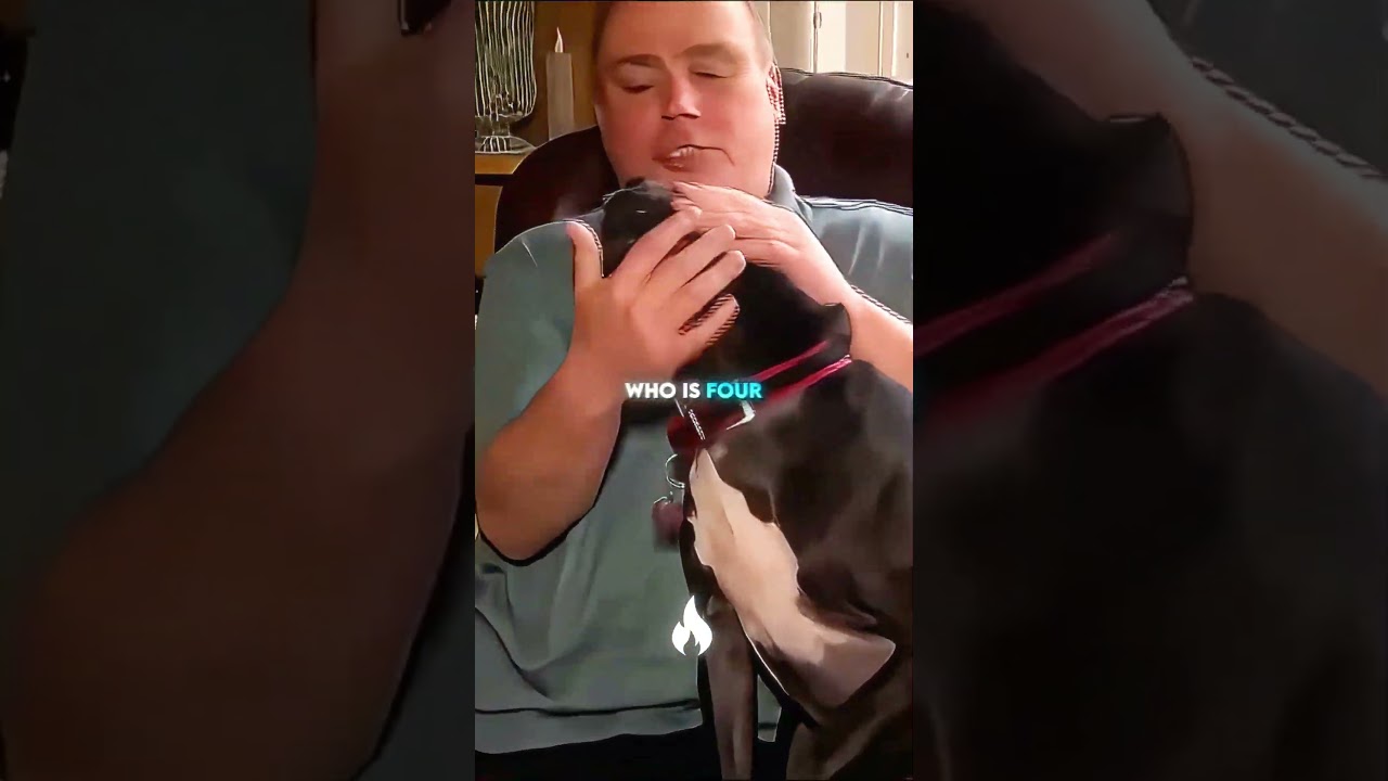 Would Your Dog Protect You From An INTRUDER... 🤔😳
