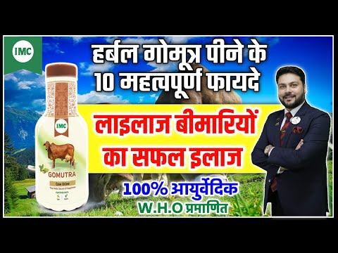 IMC हर्बल गोमूत्र पीने के 10 महत्वपूर्ण फायदे Benifits & Use of Gomutra?