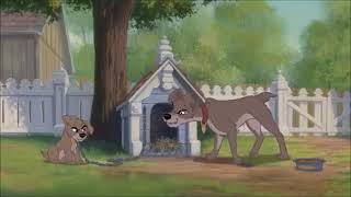 Tramp Scolds Mike And Bob