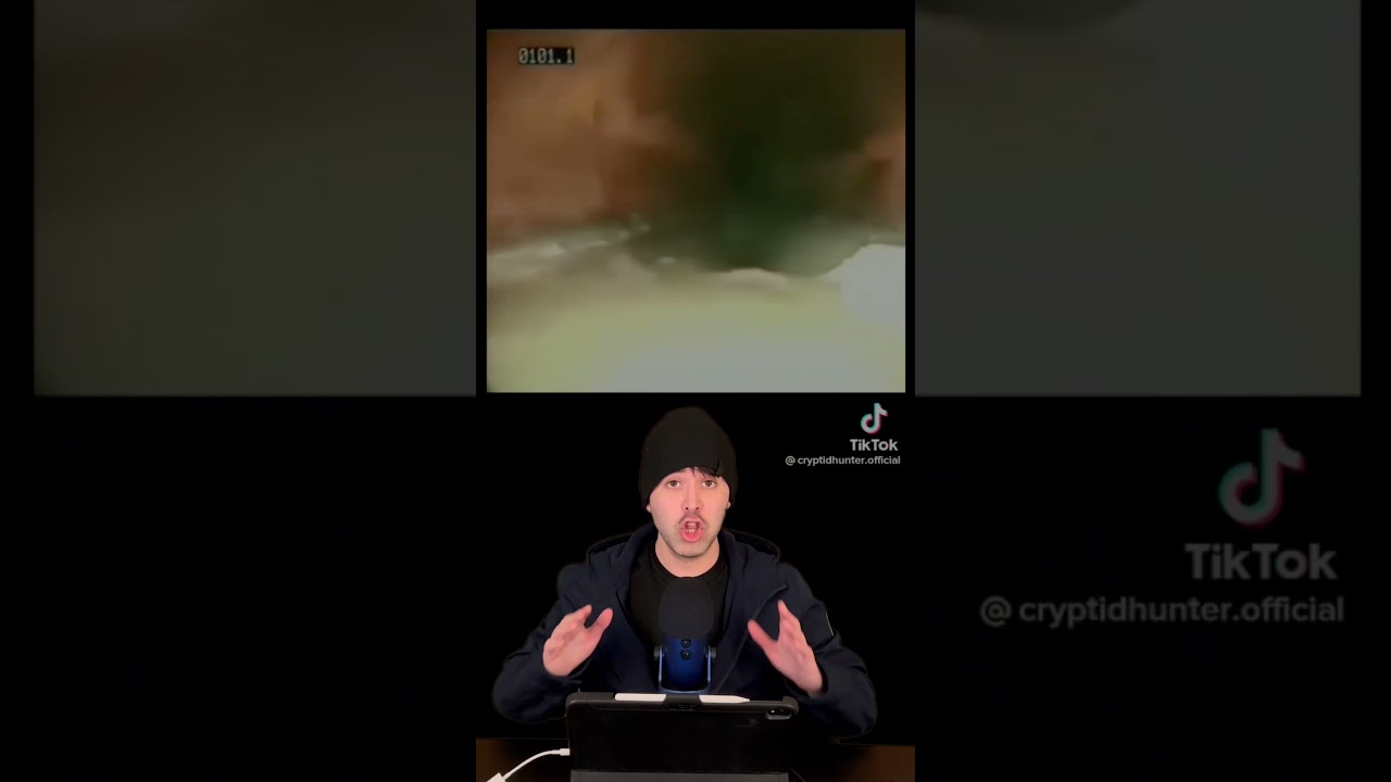 Strange creature in sewer… 