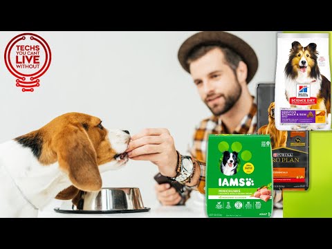 Dog Products You Can't Live Without
