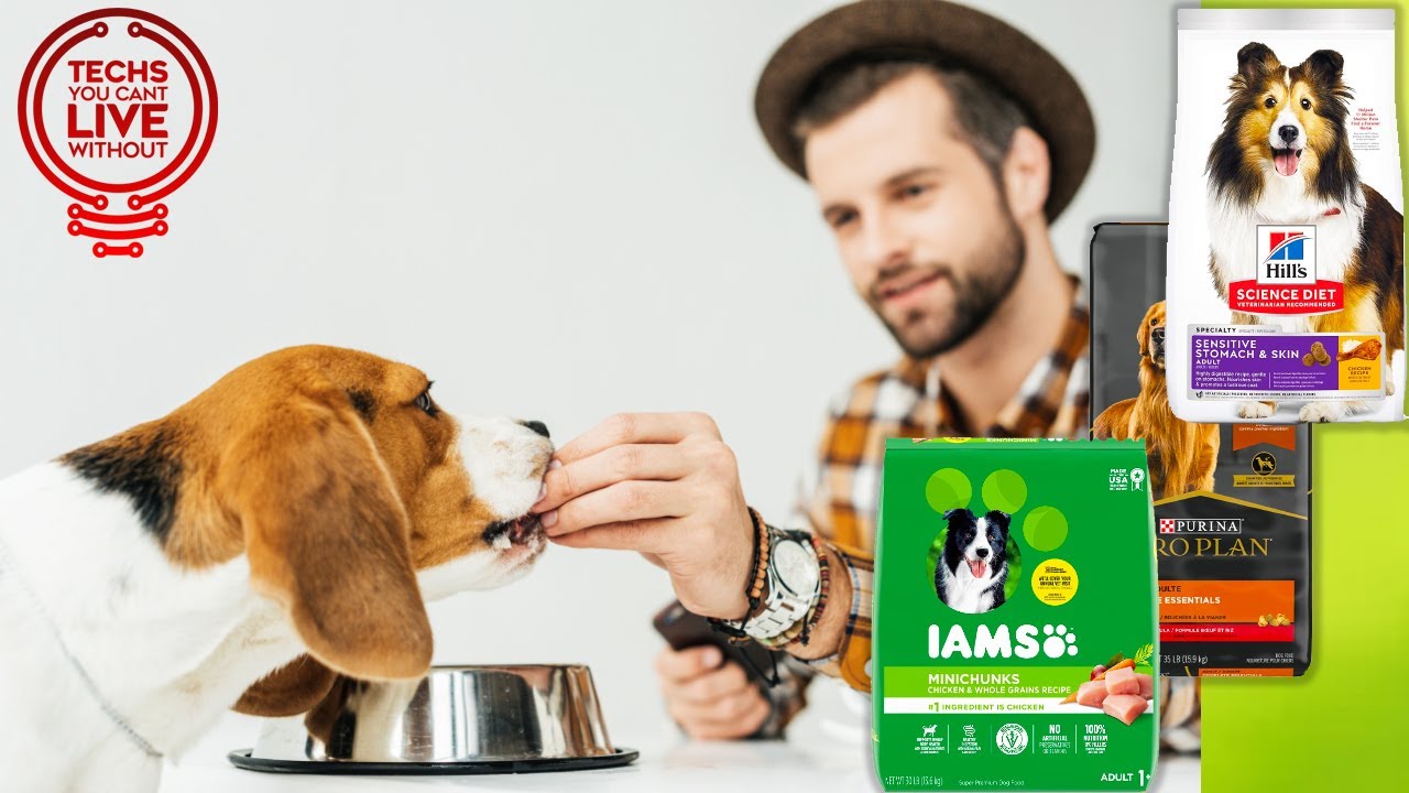 The Best Dog Food Brands Of 2023, According To More Than, 45 OFF
