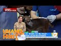 Susan Enriquez, nag-react sa viral video tungkol sa pagpapabakuna anti-rabies! | Unang Hirit!