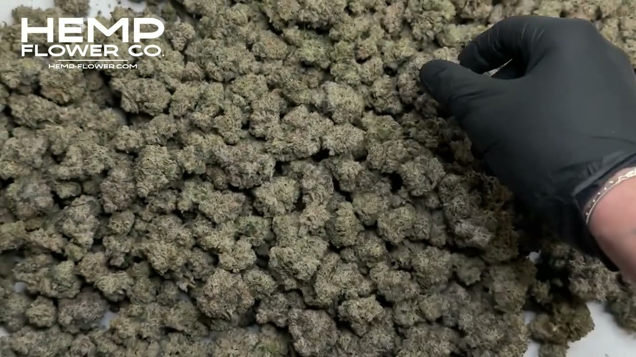 Fire OG THCa Indoor Hemp Flower by Hemp-Flower Co.