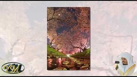 088Surat AlGhashiya(المصحف كامل بصوت ياسر الدوسري) سورة الغاشية