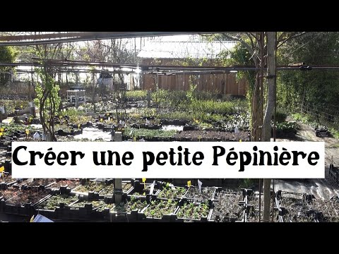 Vidéo: Exigences commerciales de la pépinière : comment démarrer une pépinière