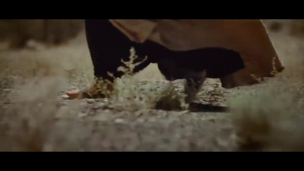 Janam Fida-e-Haideri Ya Ali Ali Ali | Sadiq Hussain