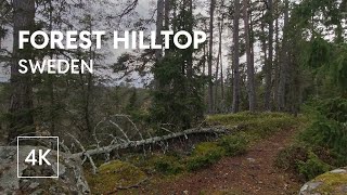 4K Sweden Nature Walk – Climb, View, and Forest Descent