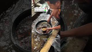 BELI IKAN HIAS LITERAN??