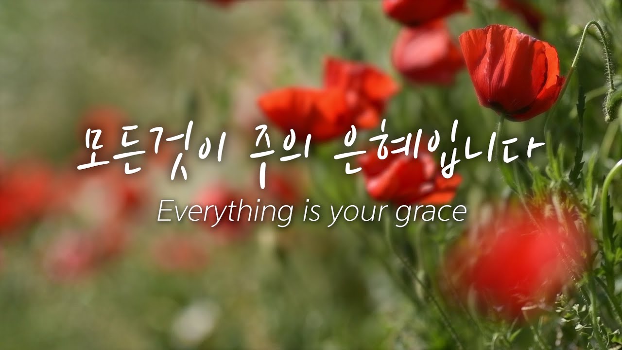 🎵 모든것이 주의 은혜입니다 /나를 회복시키는 찬양/CCM 24 HOUR PLAY🎵 /Everything is your grace