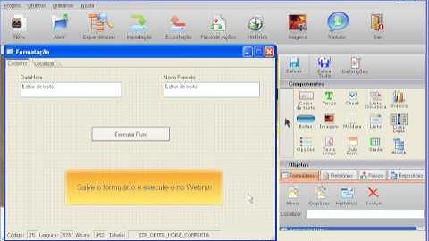 Softwell Maker -  Função Formatação