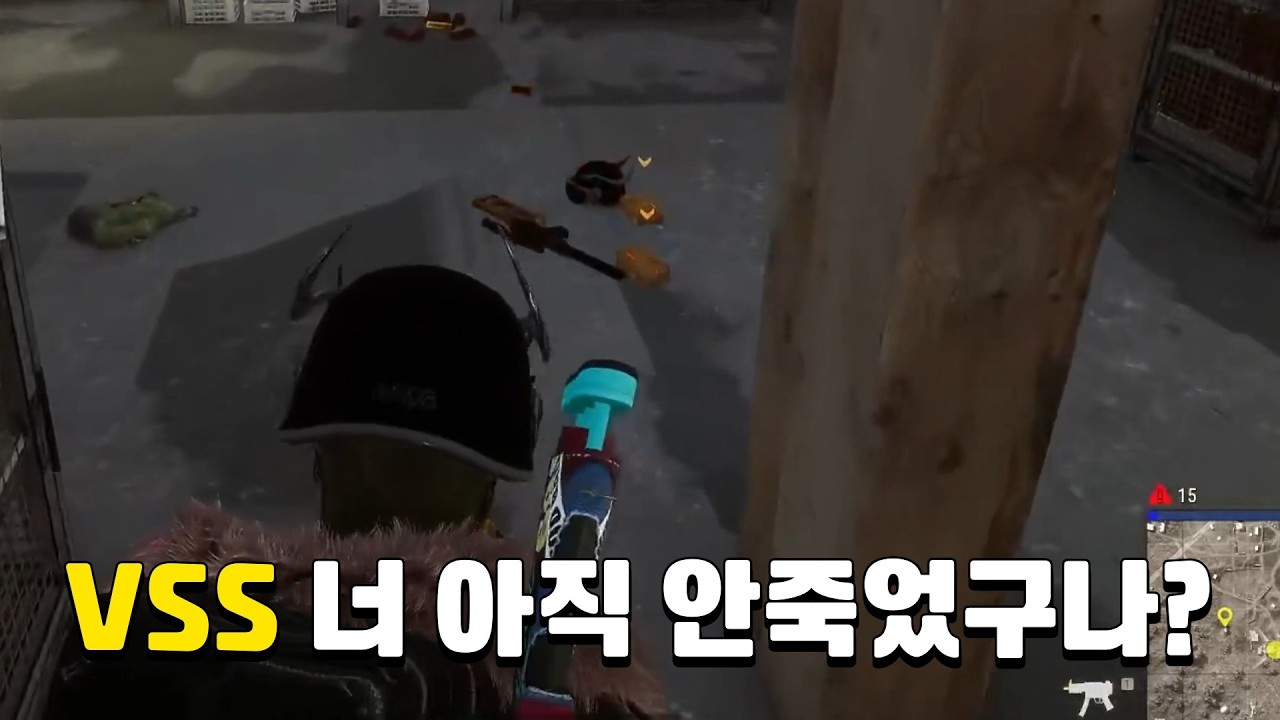 VSS 너 아직 안죽었구나
