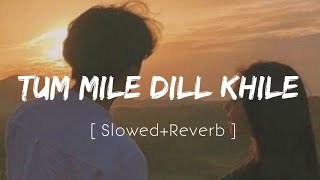 Tum Mile Dill Khile - ( Slowed   Reverb ) Arijit Singh