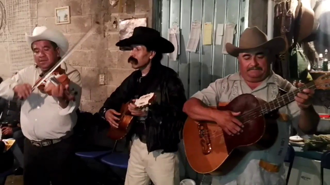 La güera de pelo dorado