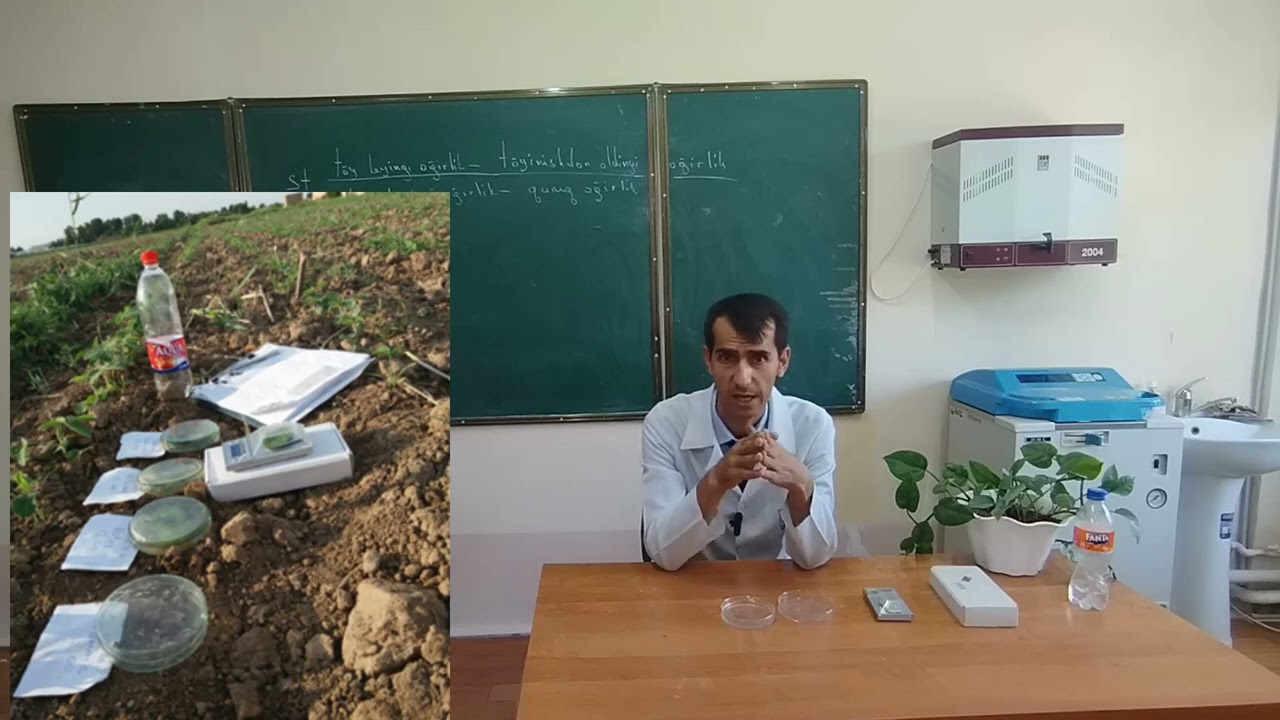 O‘simliklarning suv tanqisligini aniqlash (I. Chatskiy metodi)