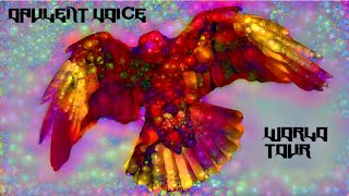30 July 2024 ORI FPGA Meetup 1
