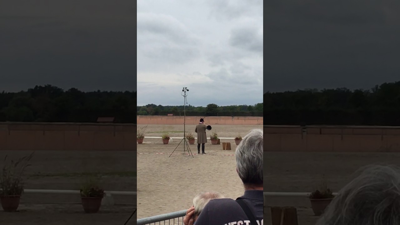 Nicolas Dromer Les Grands Ormes