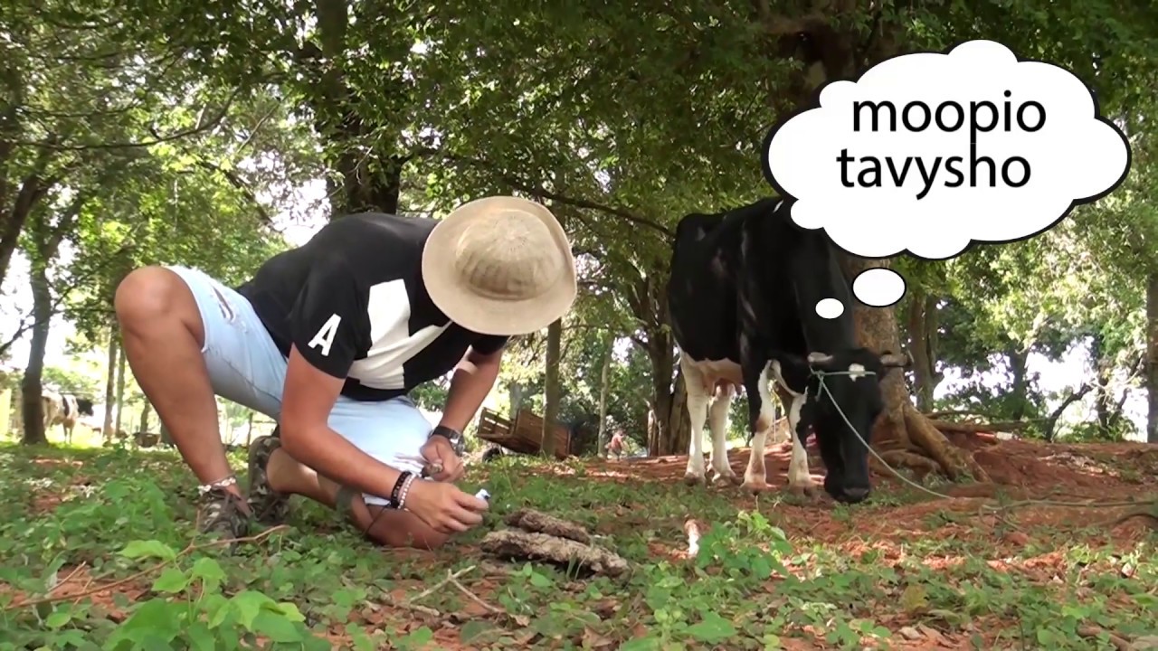 Comisaría 13 #13 31 03 18