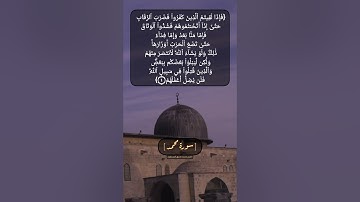 سورة محمد الآية ٤ الى ٦ بصوت الشيخ محمد صديق المنشاوي