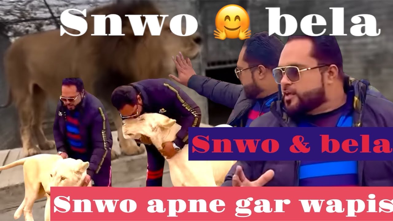 Snow & bela come back home