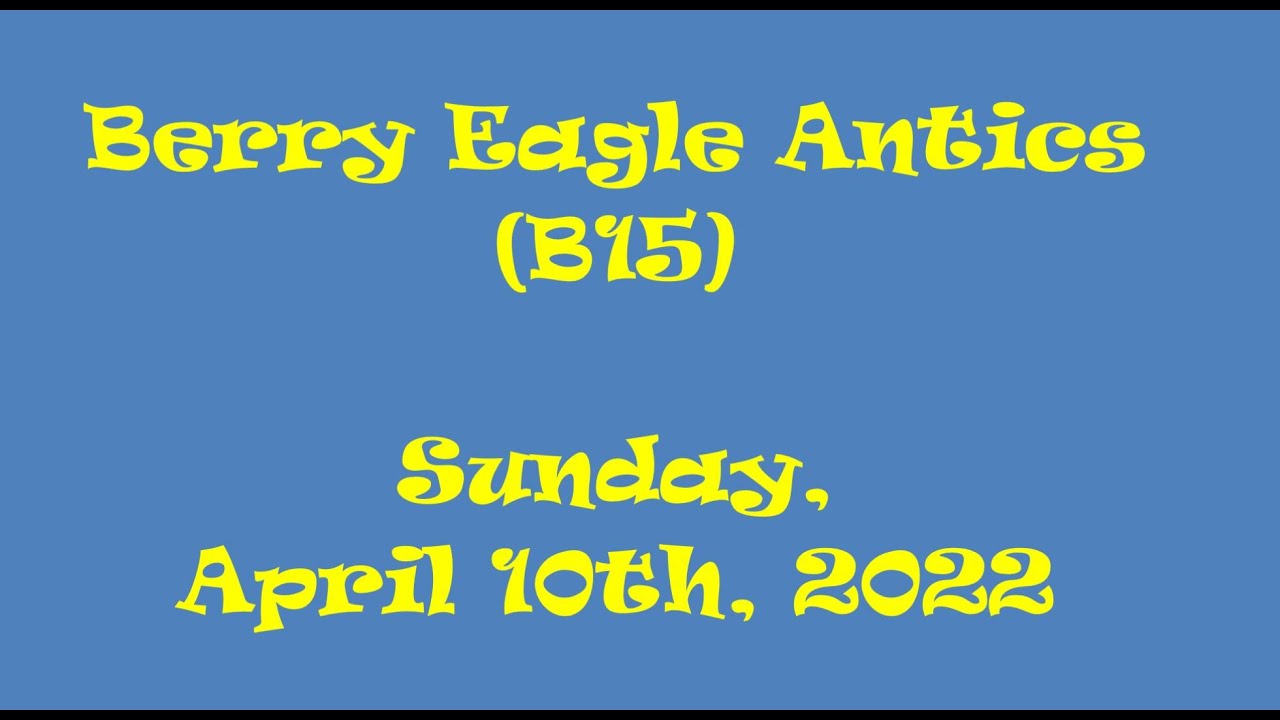 Berry College Eagles: Nest Visit Clips 04/10/2022