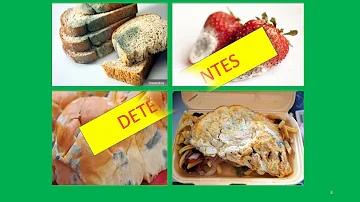 Como os microrganismos afetam quantidade e qualidade dos alimentos?