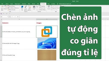 Chèn Hình Ảnh Vào Excel Bằng VBA Tự Động Vừa Ô