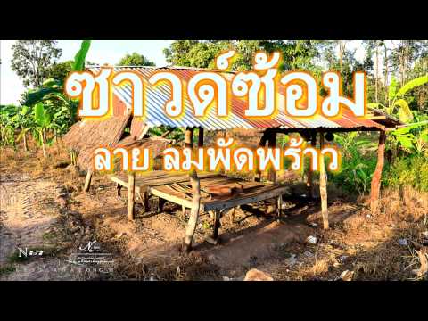 ซ า ว ด์ ซ้ อ ม --ลายลมพัดพร้าว คีย์ Am