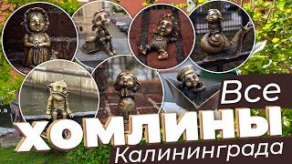 Все хомлины Калининграда / Зоткингид