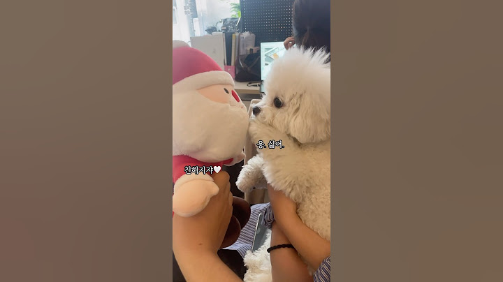 강아지에게 버림 받은 산타 ㅋ