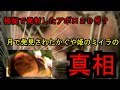 【都市伝説】月から発見されたミイラ「かぐや姫」の真相を追え!