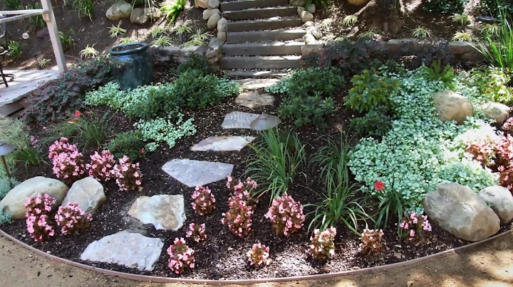 Garden of the Week - Shari Collins - Moorpark