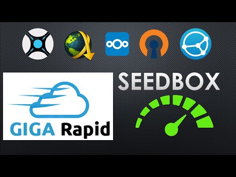 Gigarapid Seedbox: Torrents, Usenet and One Click Hoster in a single Seedbox