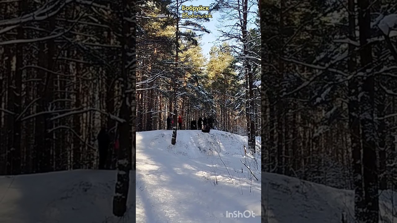 Зимние забавы. Бобруйск. Winter fun. Bobruisk.