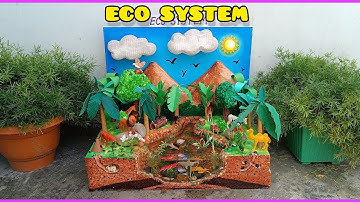 Eco System Working Model |Biodiversity model