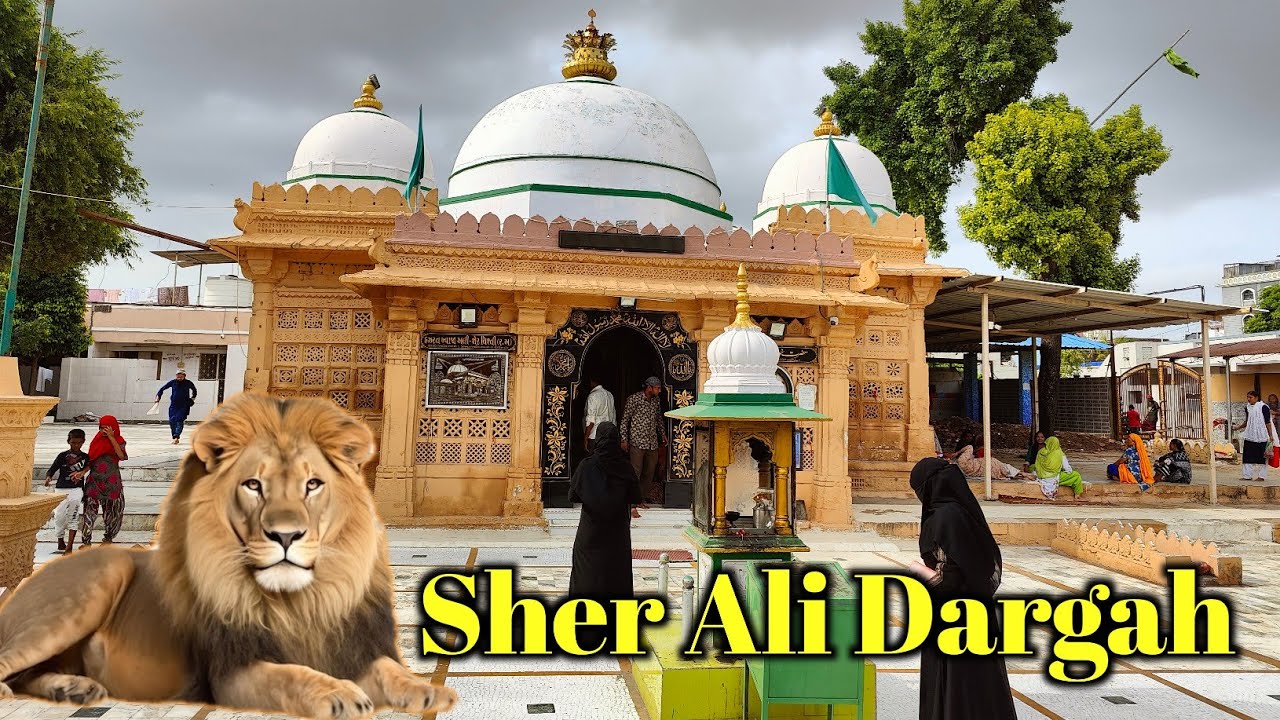 Sher Ali Dargah | Sher Is Dargah Ki Hifazat Karta Tha 😱 | Ahmedabad Dargah