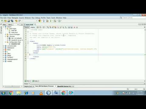 Input type text field, password field, radio button in html form