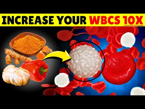10 Best Foods