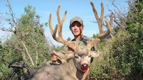 Archery Mule Deer Hunt on the Paunsaugunt - MossBack