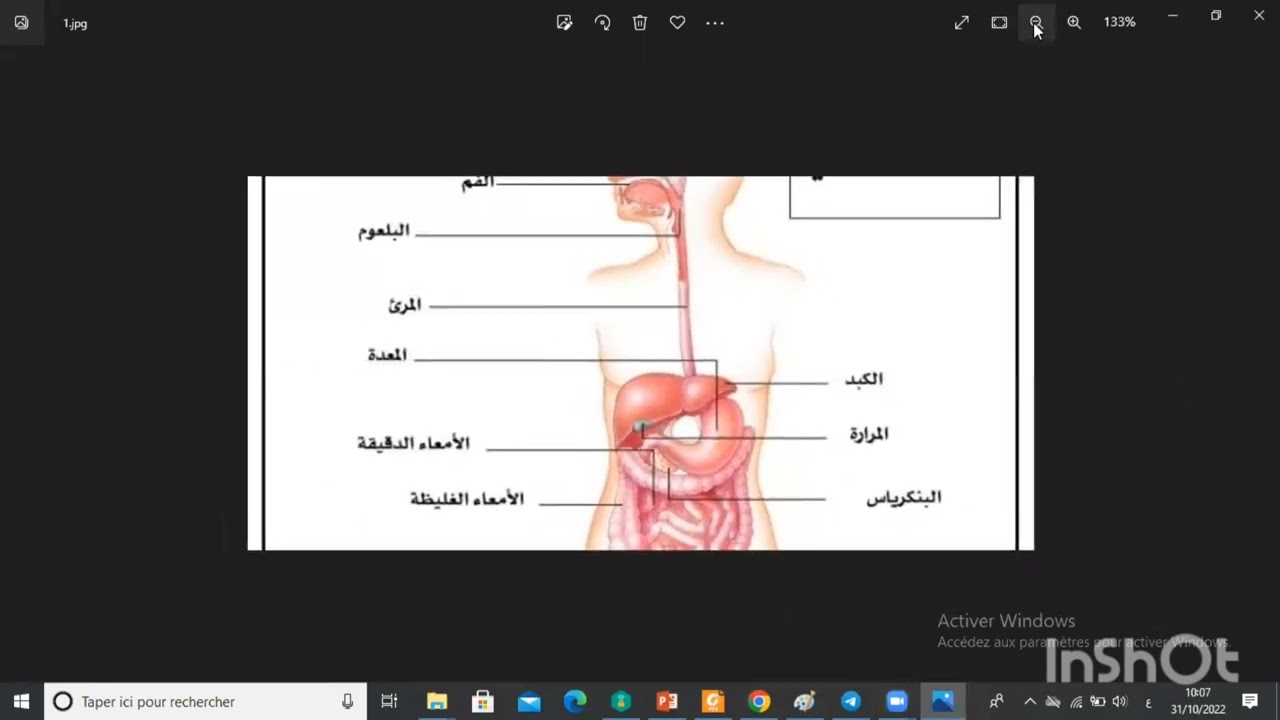 مصدر المادة الضرورية عند الحيوان سنة أولى ثانوي علمي