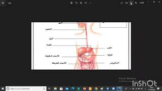 مصدر المادة الضرورية عند الحيوان سنة أولى ثانوي علمي