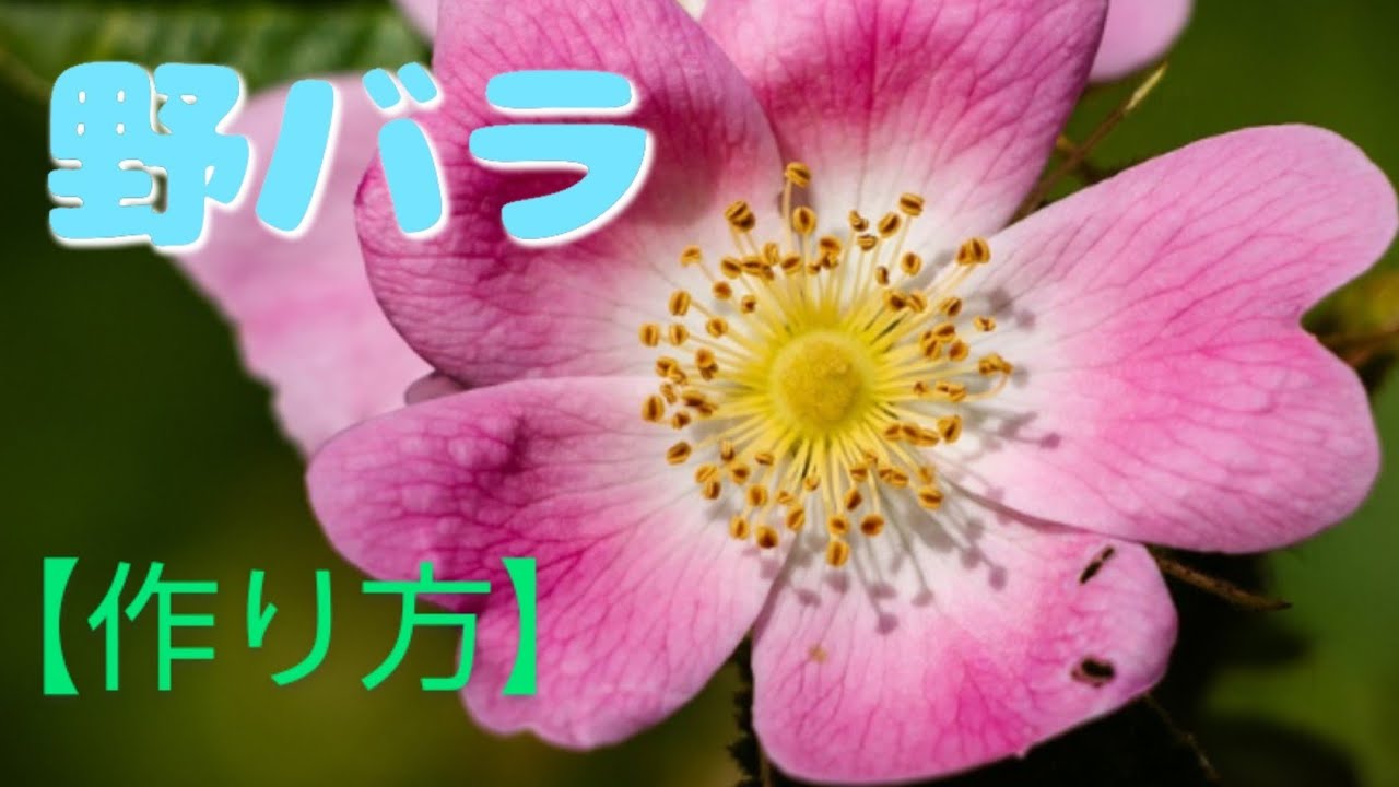Clay Flower DIY: How to create a wild rose using clay flowers