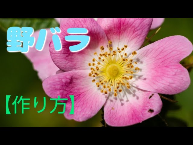 Clay Flower DIY: How to create a wild rose using clay flowers