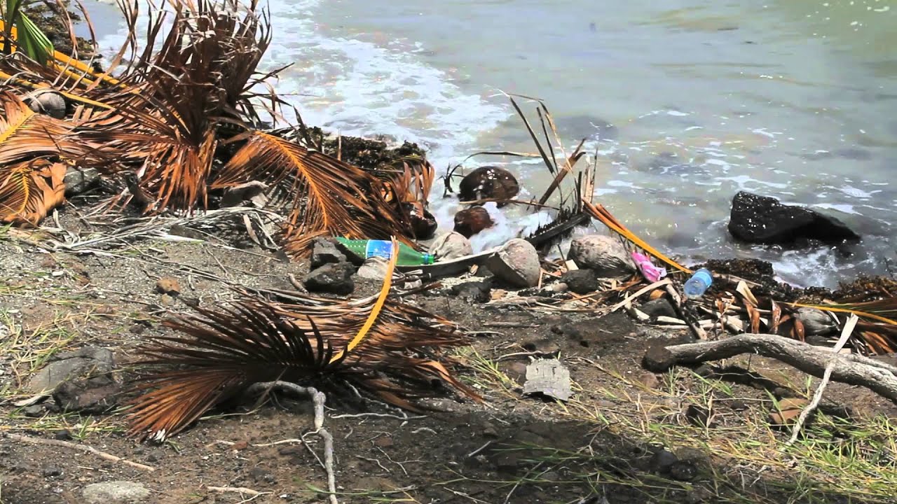 Tori Shack Tangible Movement // Production By Lemonlight Media