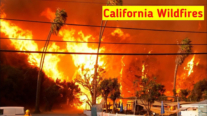 Structures Burn as Palisades Fire Explodes to 1,200+ Acres