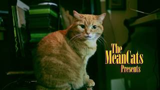 The Mean Cats Touch The Sky 2019 Web Series Episode -1-