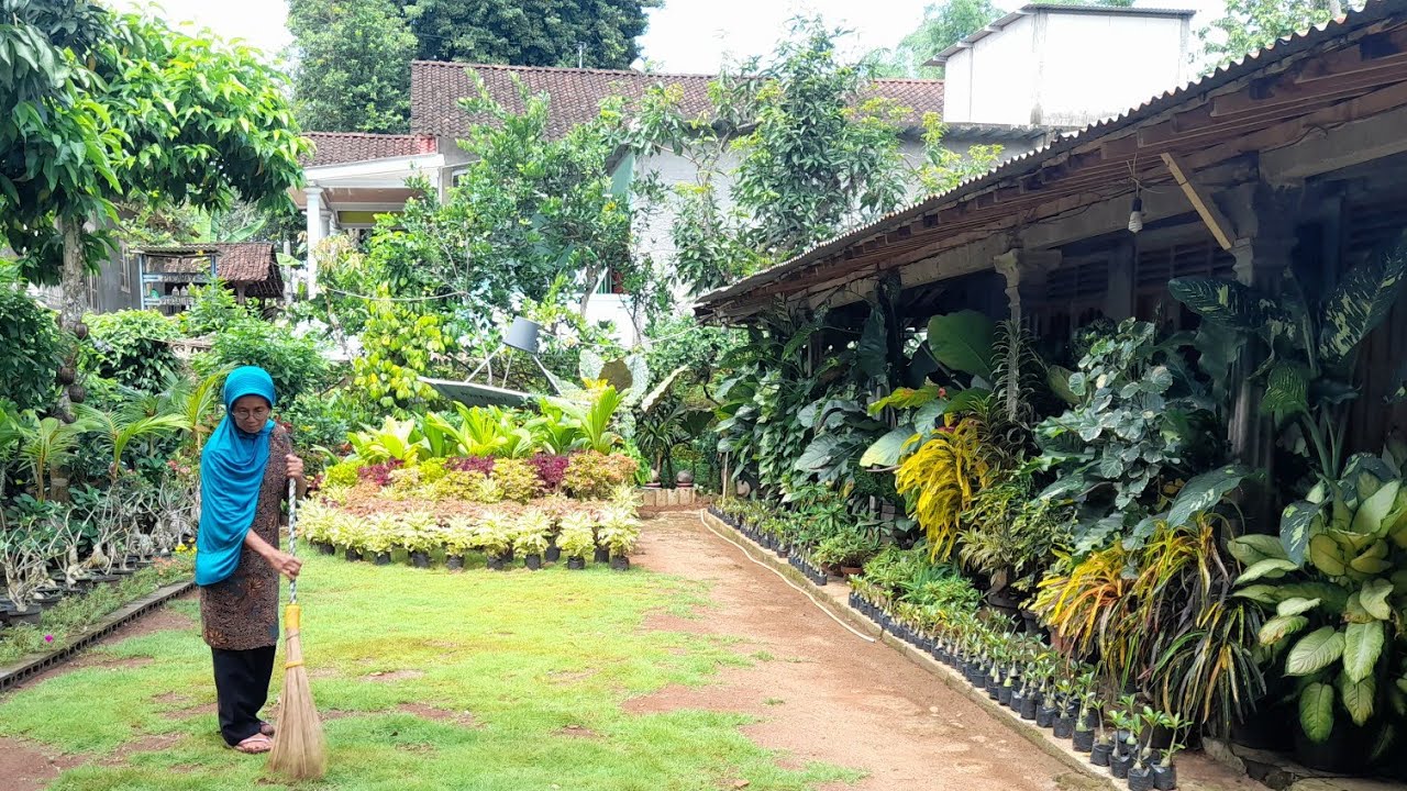 IBUKU 🤲 MENIKMATIK MASA PENSIUN DI DESA BIKIN AWET MUDA⁉️ RUMAH NDESO VIRAL DI KOTA WONOGIRI 🤲🏡🙏