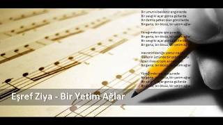 Eşref Ziya Terzi - Bir Yetim Ağlar Resimi