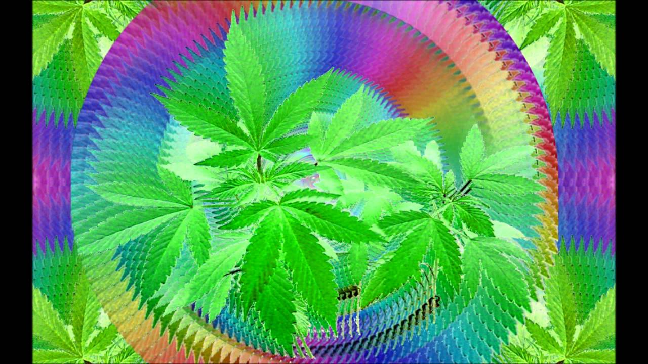 abstract marijuana