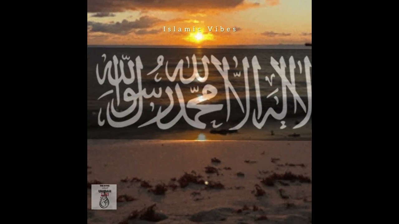 Islamic Vibes | El Muslimeen